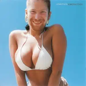 Best Dance Songs of All Time, Aphex Twin, Windowlicker