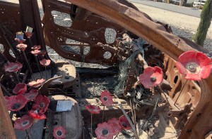 Nova Festival Memorial