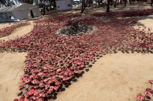 Nova Festival Memorial