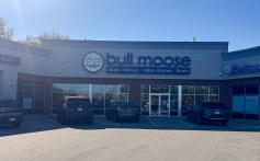 Bull Moose