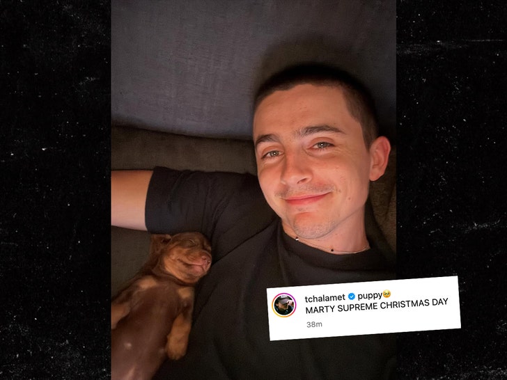 Timothée-Chalamet-ig-3